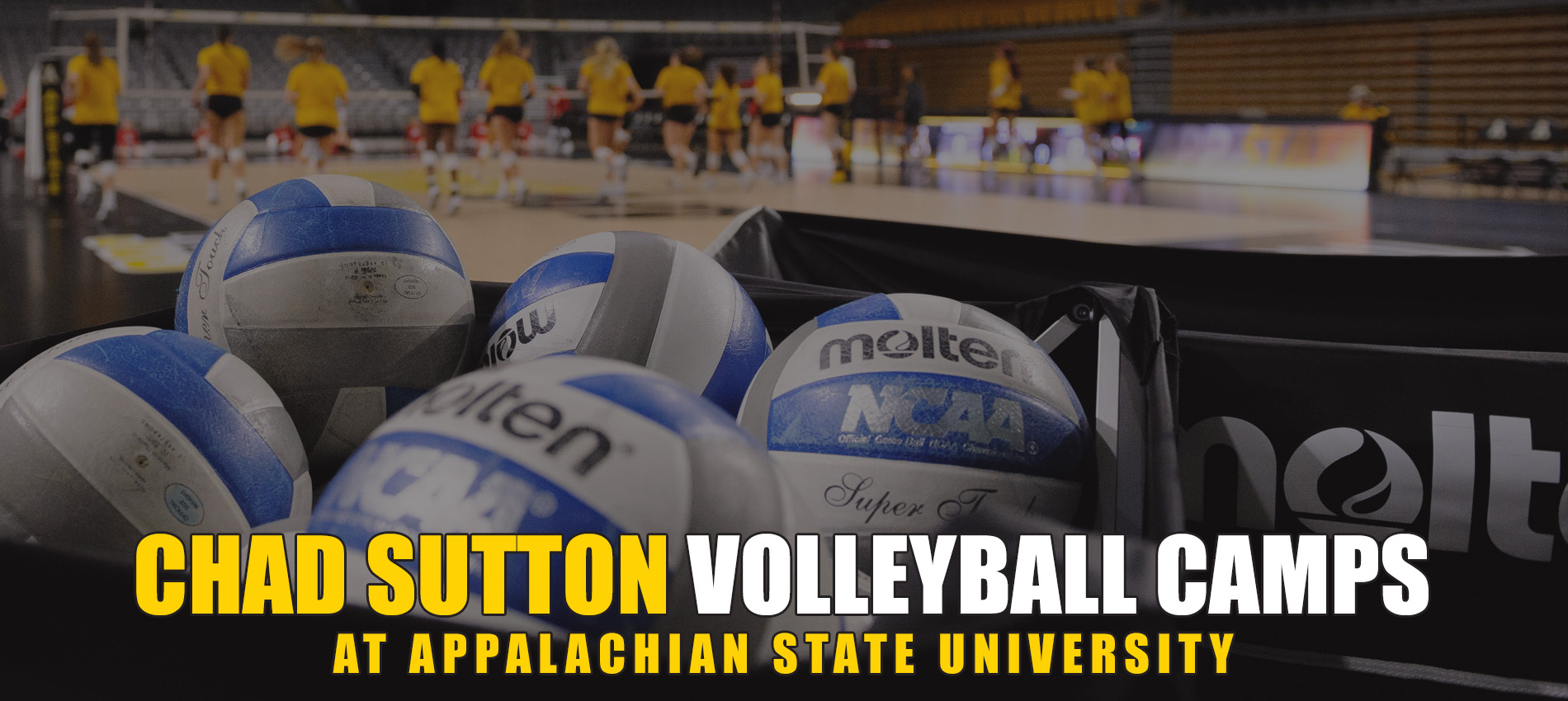 Chad Sutton Volleyball Camps