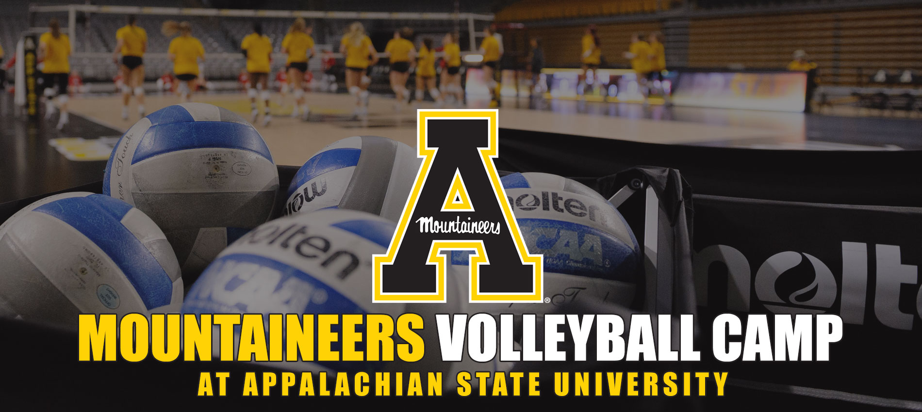 Chad Sutton Volleyball Camps